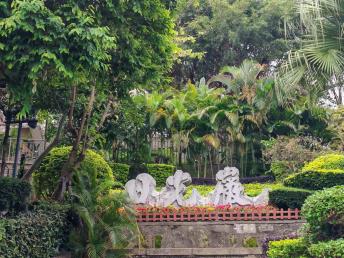 【B3線 秀美鷺島 商務(wù)游】< 廈門鼓浪嶼 帆船旅拍3天動車團(tuán)>